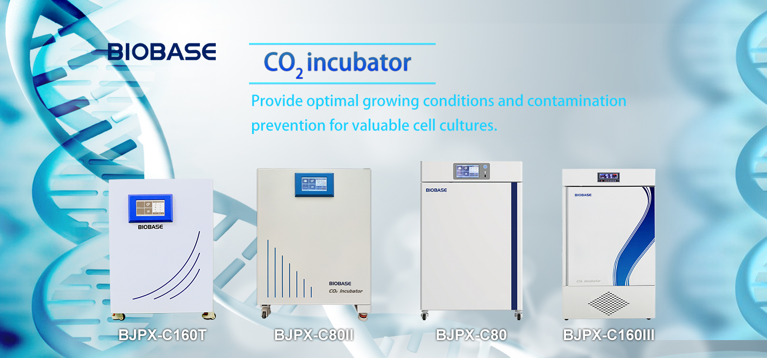 12.27-12.31 incubator details 12.27-12.31 incubator details