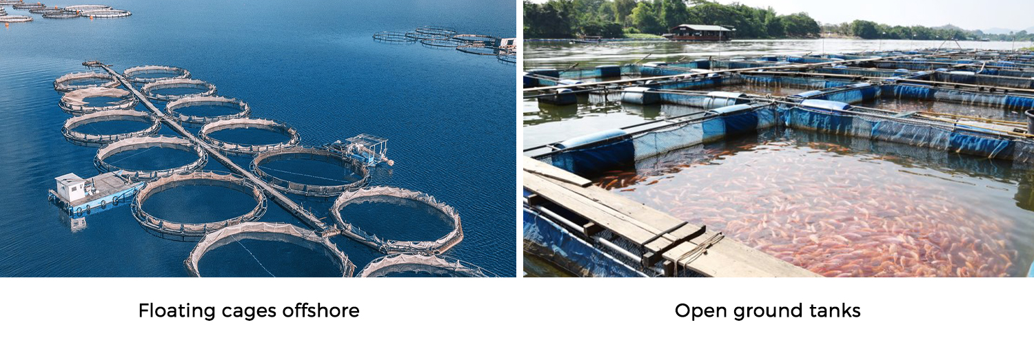 2022-10-21 AIR PROTECTION PRODUCT DETAILS