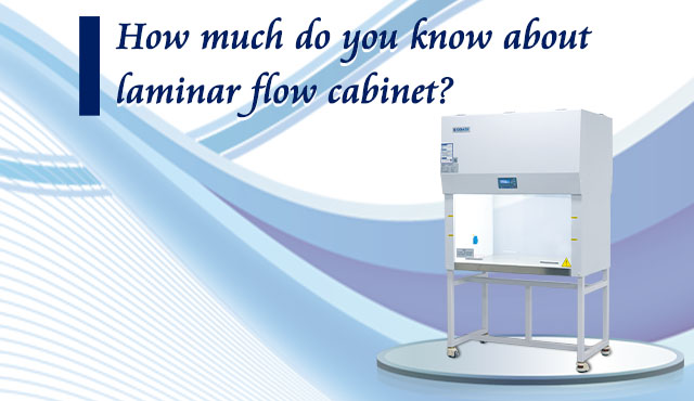 BIOBASE’s new Vertical Laminar Flow Cabinet comes out