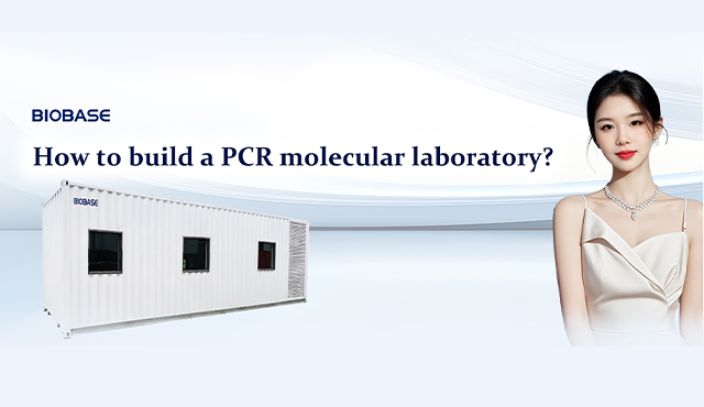 From Sample to Result: Complete PCR Lab Equipment Solutions