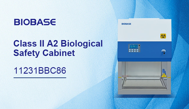 BIOBASE Class II A2 Biological Safety Cabinet 11231 BBC 86