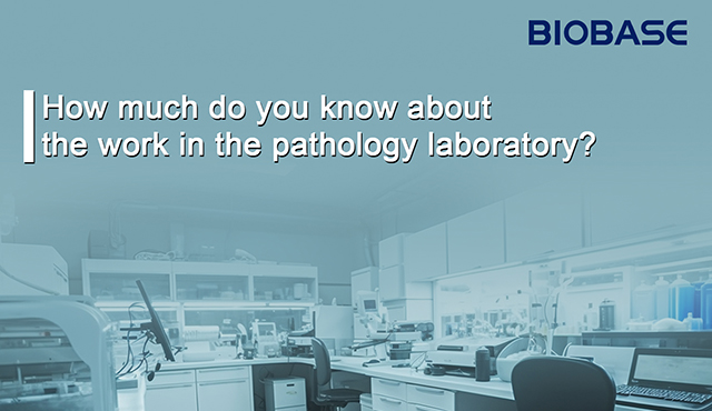 How much do you know about the work in the pathology laboratory?