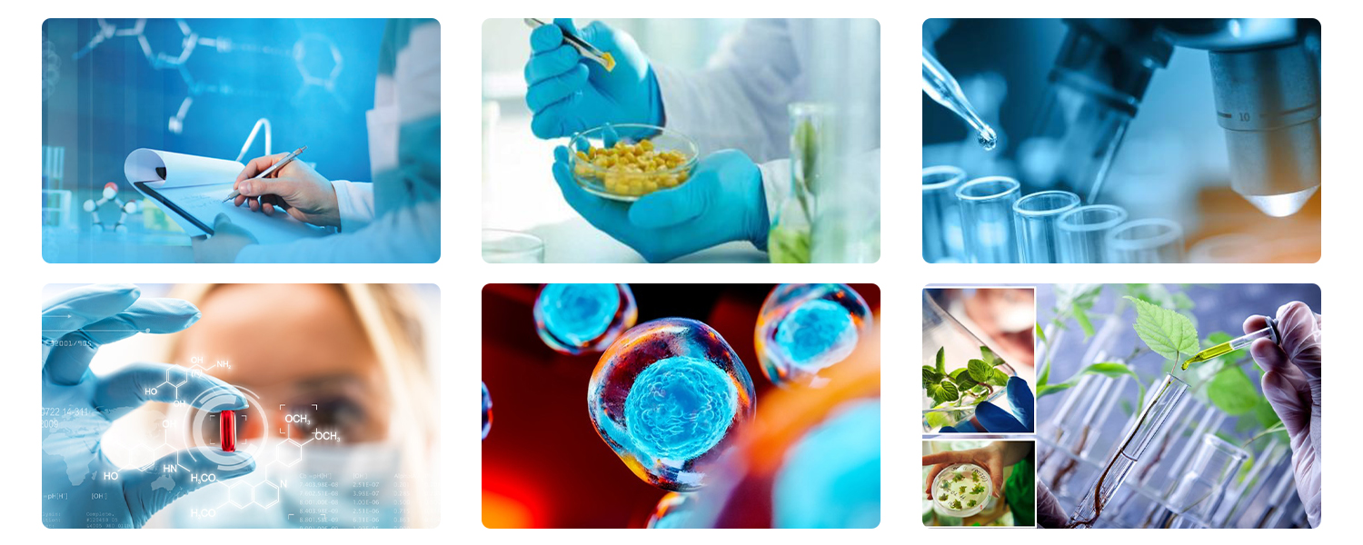 Fluorescence quantitative Detection System Details (3)