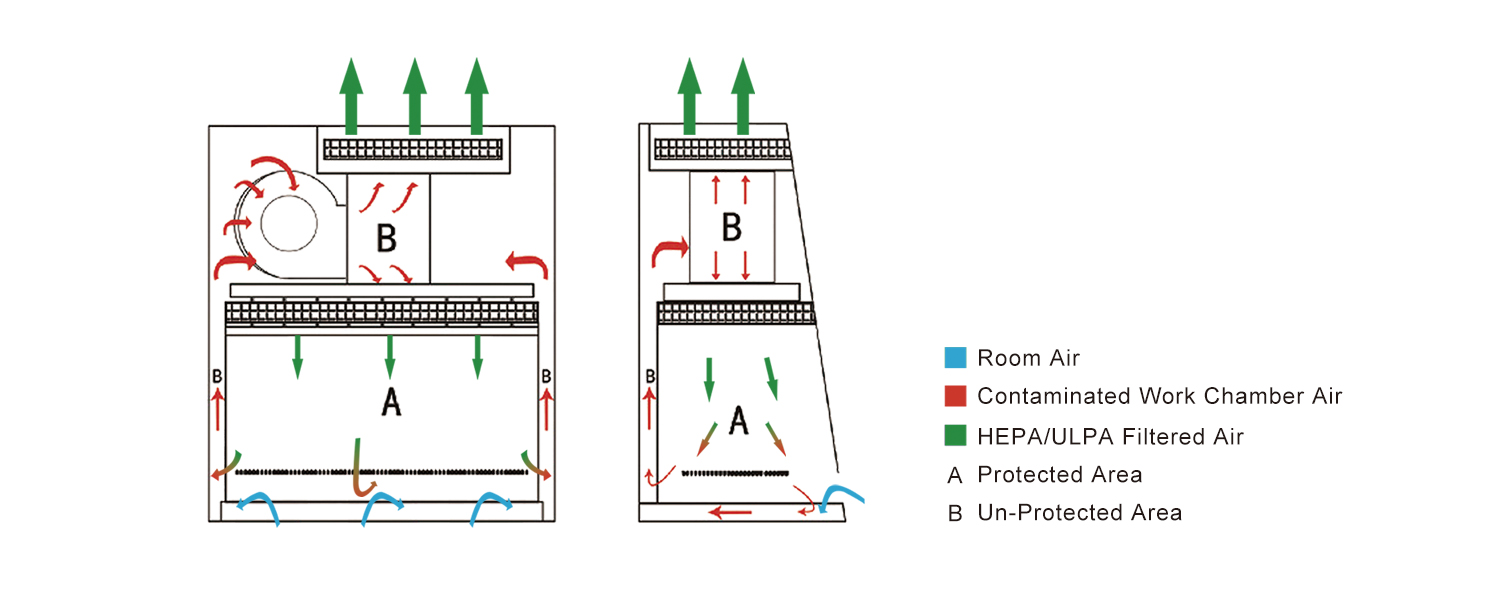 2022-4-28 biosafety cabinet details (3)
