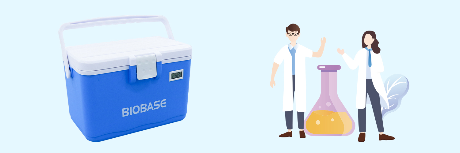 2022-6-1 portable refrigerator details