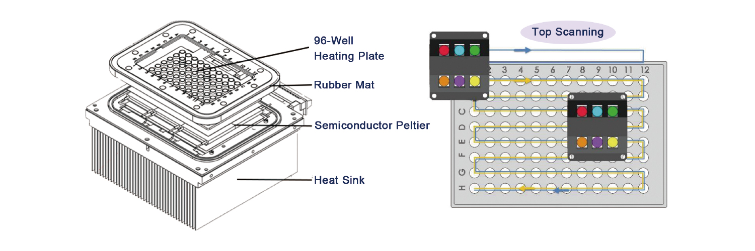 Fluorescence quantitative Detection System for COVID19 Testing