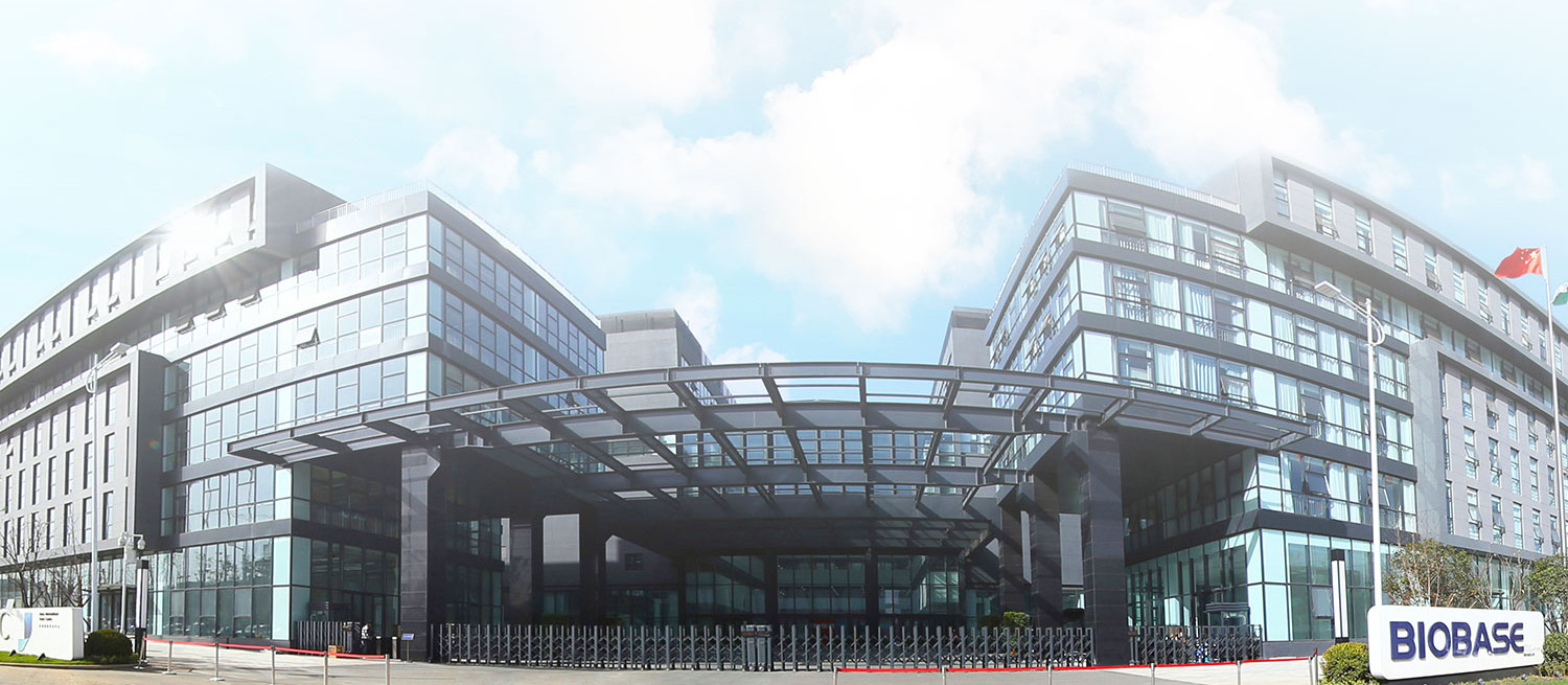 1201姚峥埃及大项目发货_05