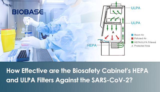 How Effective are the Biosafety Cabinet's HEPA and ULPA Filters Against the SARS-CoV-2?