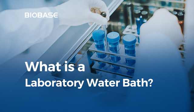 What is a Laboratory Water Bath?