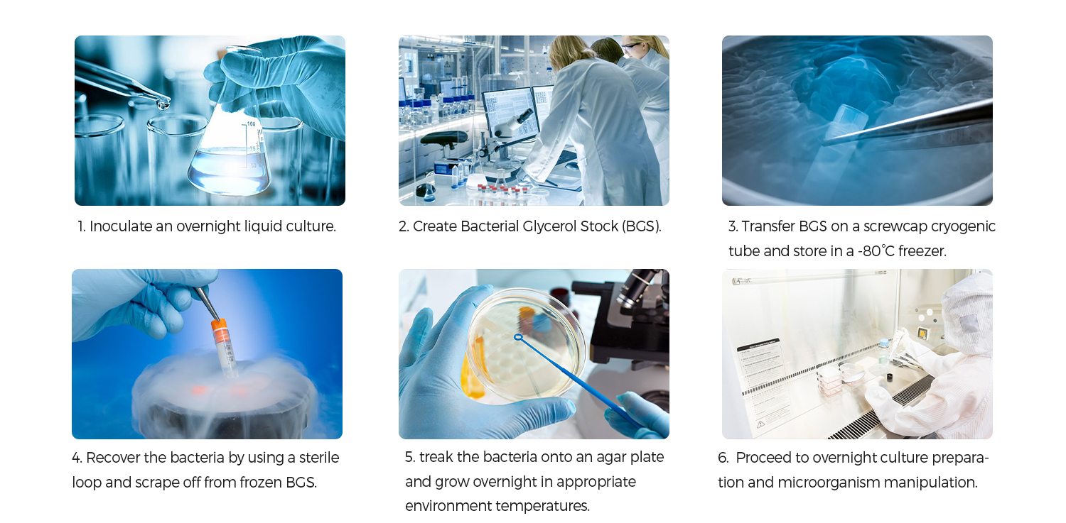 12.13-12.18 Bacterial Culture Detalis