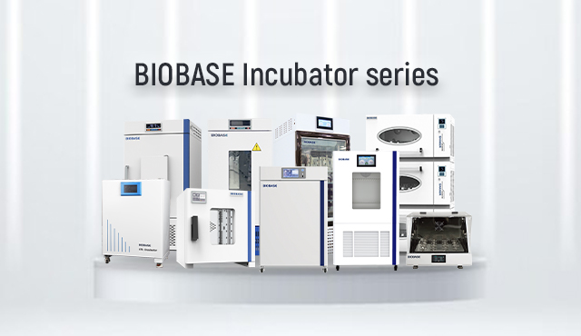 Choose a professional laboratory incubator, please look for BIOBASE!