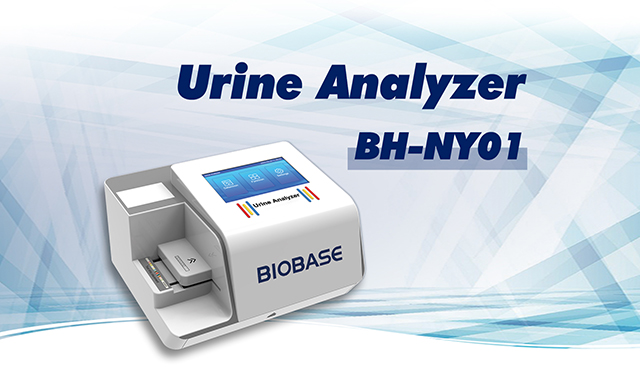 BIOBASE Urine Analyzer BH-NY01