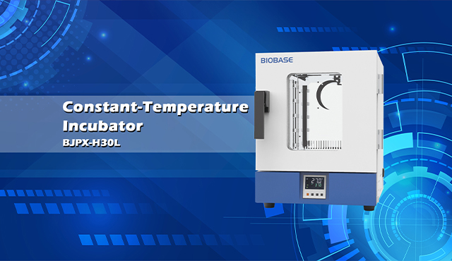 BIOBASE Constant-Temperature Incubator BJPX--H30L